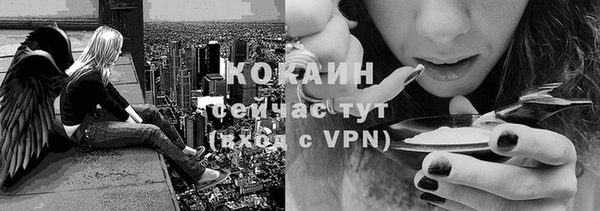 гашик Армянск