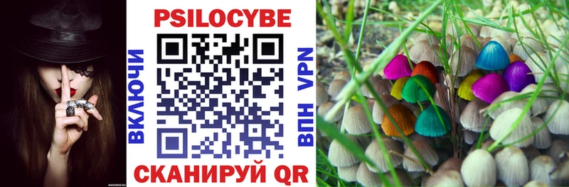 MEGA ссылки  Питкяранта  Псилоцибиновые грибы мухоморы  shop Telegram  где найти наркотики 